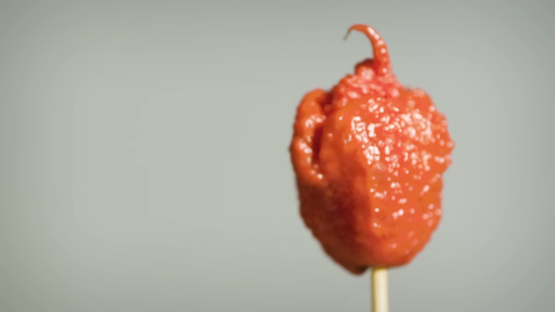 The World's Hottest Pepper