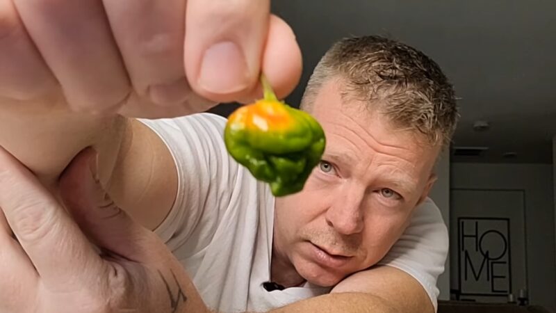What Makes Pepper X the Hottest Pepper in The World
